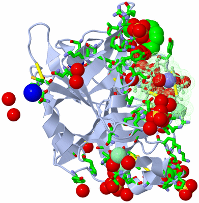 Image Asym./Biol. Unit - sites