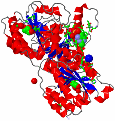 Image Asym. Unit - sites