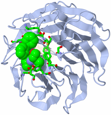 Image Biol. Unit 1 - sites