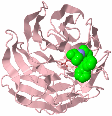 Image Biological Unit 3