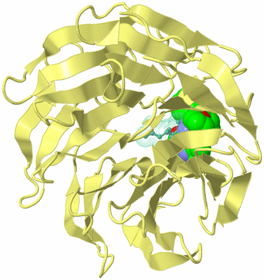 Image Biological Unit 4