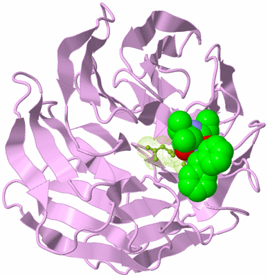 Image Biological Unit 5