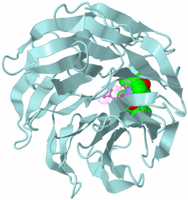 Image Biological Unit 6