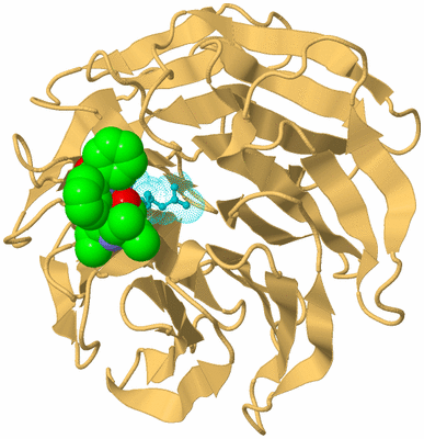 Image Biological Unit 7