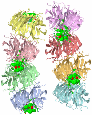 Image Asym. Unit - sites