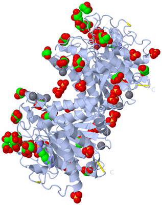 Image Biological Unit 2