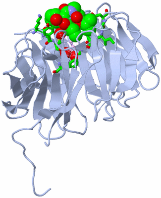 Image Biol. Unit 1 - sites