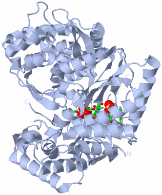 Image Biol. Unit 1 - sites