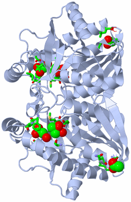 Image Biol. Unit 1 - sites