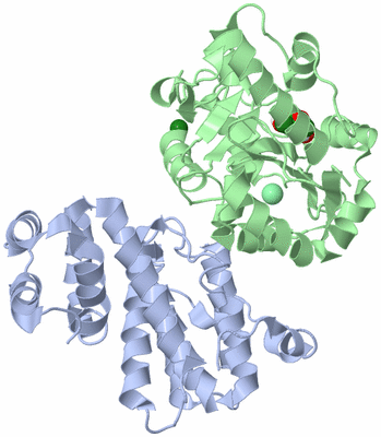 Image Biological Unit 1