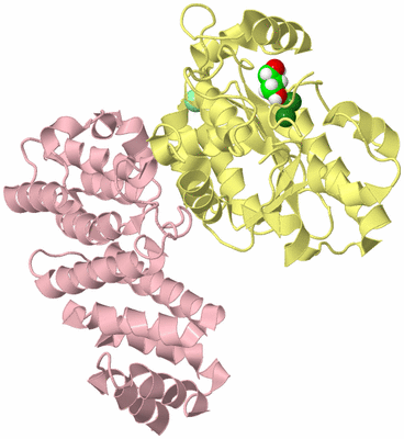 Image Biological Unit 2