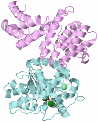 Image Biological Unit 3