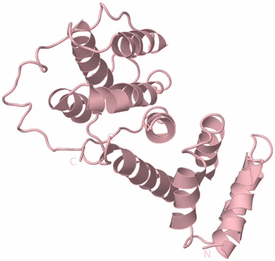 Image Biological Unit 3