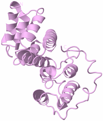 Image Biological Unit 5