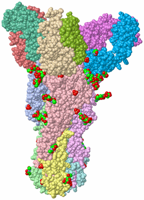 Image Asym./Biol. Unit