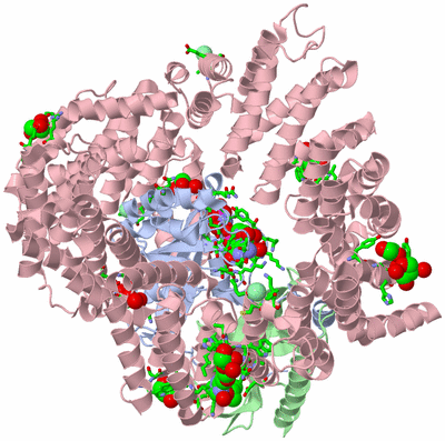 Image Asym./Biol. Unit - sites