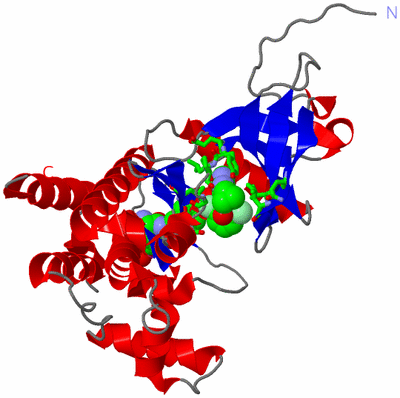 Image Asym./Biol. Unit - sites