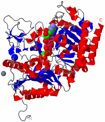 Image Asym./Biol. Unit