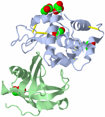 Image Asym./Biol. Unit