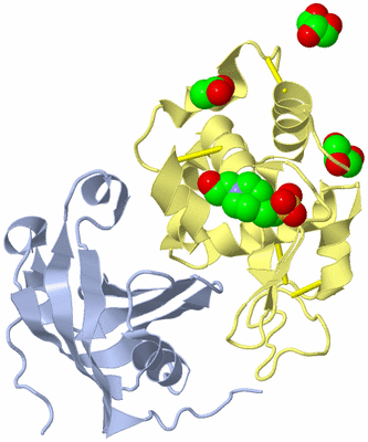 Image Biological Unit 1