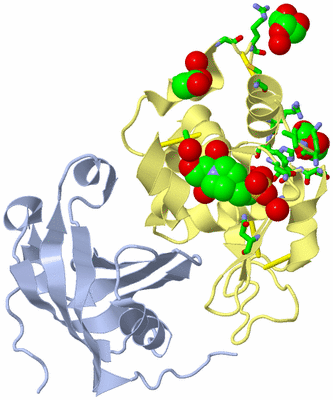 Image Biol. Unit 1 - sites