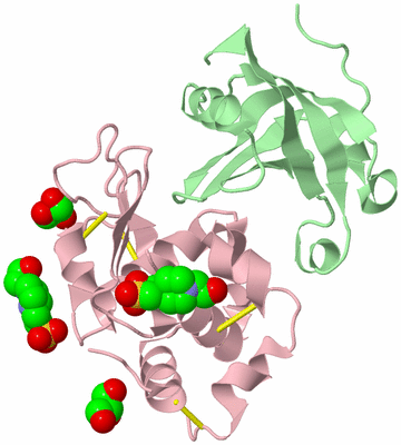 Image Biological Unit 2