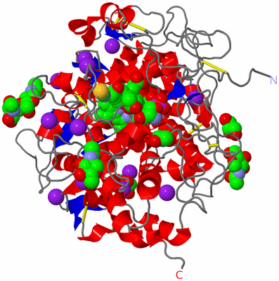 Image Asym./Biol. Unit