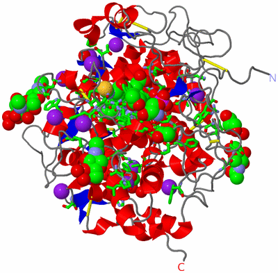 Image Asym./Biol. Unit - sites