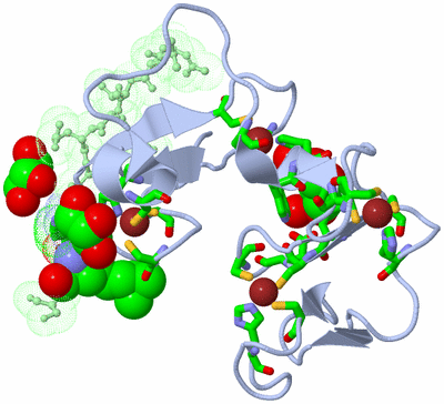 Image Biol. Unit 1 - sites