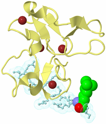 Image Biological Unit 2