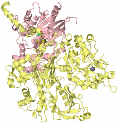 Image Biological Unit 2