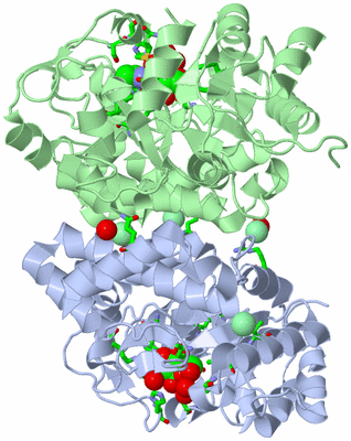 Image Asym./Biol. Unit - sites