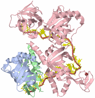 Image Biological Unit 1