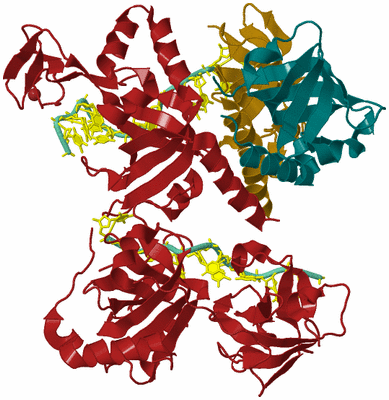 Image Biological Unit 2