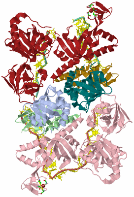 Image Asym. Unit - sites