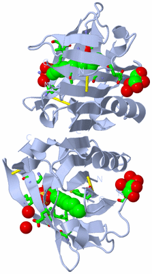 Image Biol. Unit 1 - sites