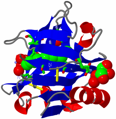 Image Asym. Unit - sites