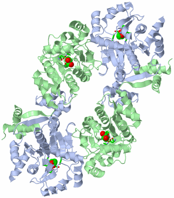 Image Biol. Unit 1 - sites