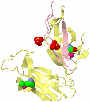 Image Biological Unit 4