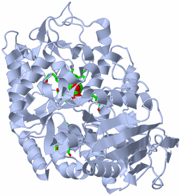 Image Biol. Unit 1 - sites