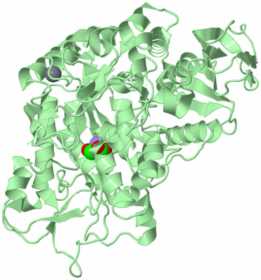 Image Biological Unit 2