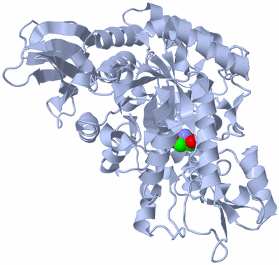 Image Biological Unit 1