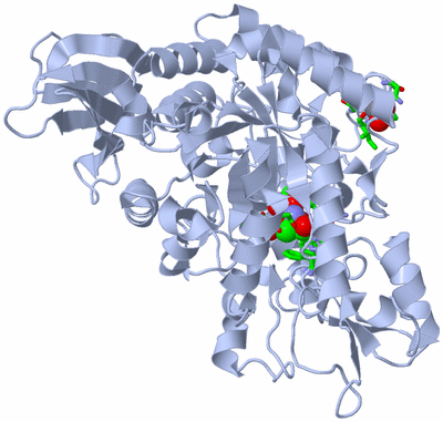 Image Biol. Unit 1 - sites