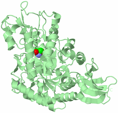 Image Biological Unit 2