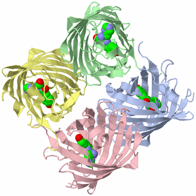 Image Asym./Biol. Unit