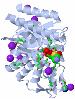 Image Biol. Unit 1 - sites