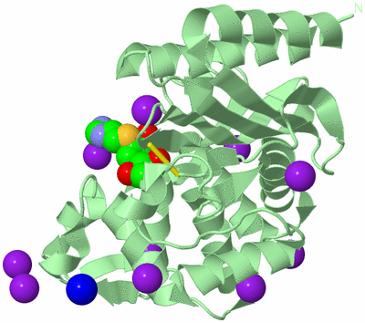 Image Biological Unit 2