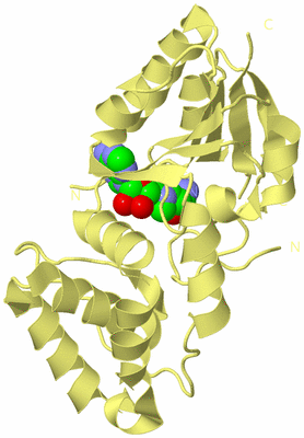 Image Biological Unit 2