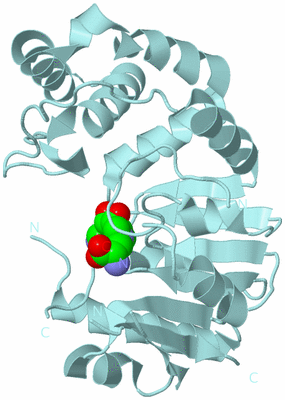 Image Biological Unit 4