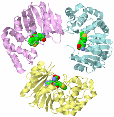 Image Biological Unit 1